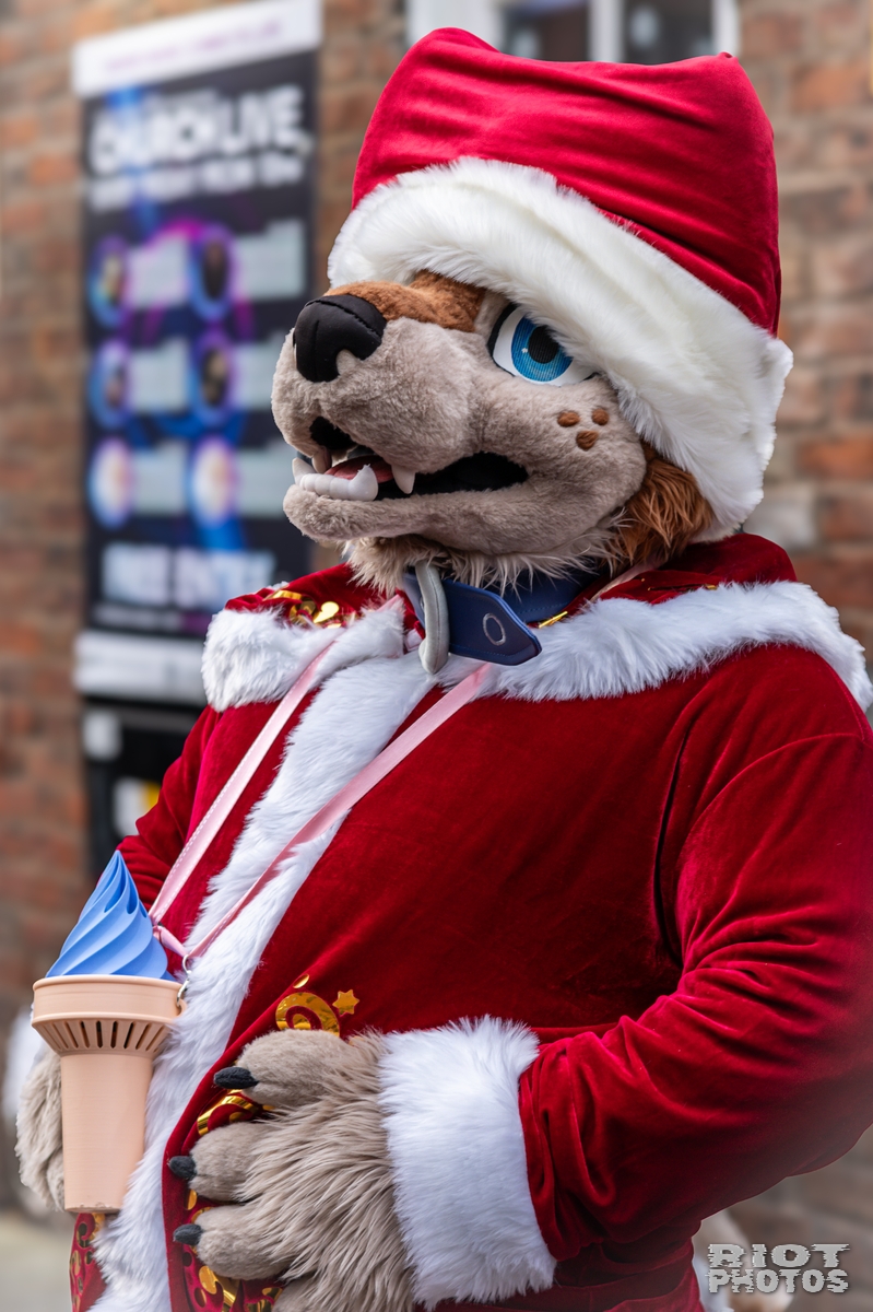 2024-12-15 MancFurs-202412-053.jpg