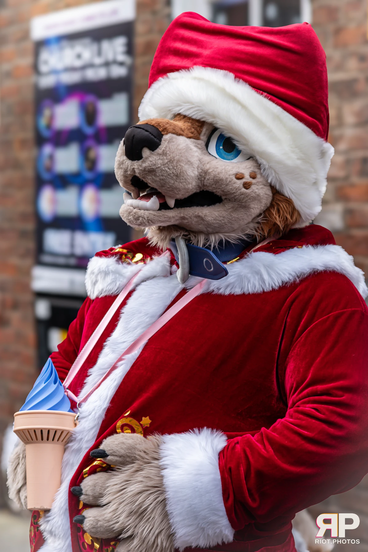 MancFurs - December, 2024 — 14 Dec 2024, Fluffy Riot photography — photo 52