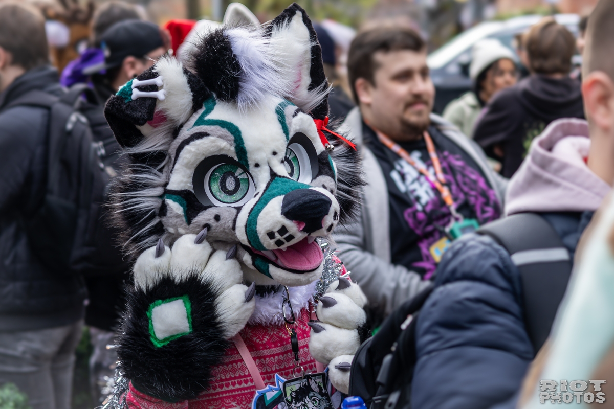 2024-12-15 MancFurs-202412-054.jpg