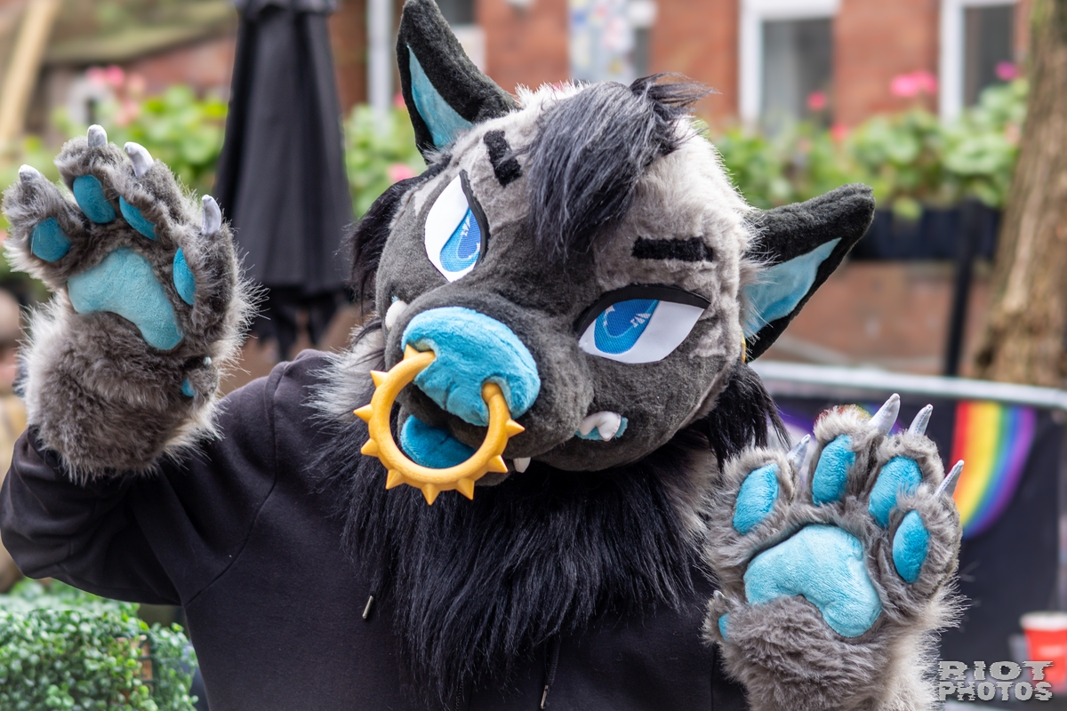 2024-12-15 MancFurs-202412-055.jpg