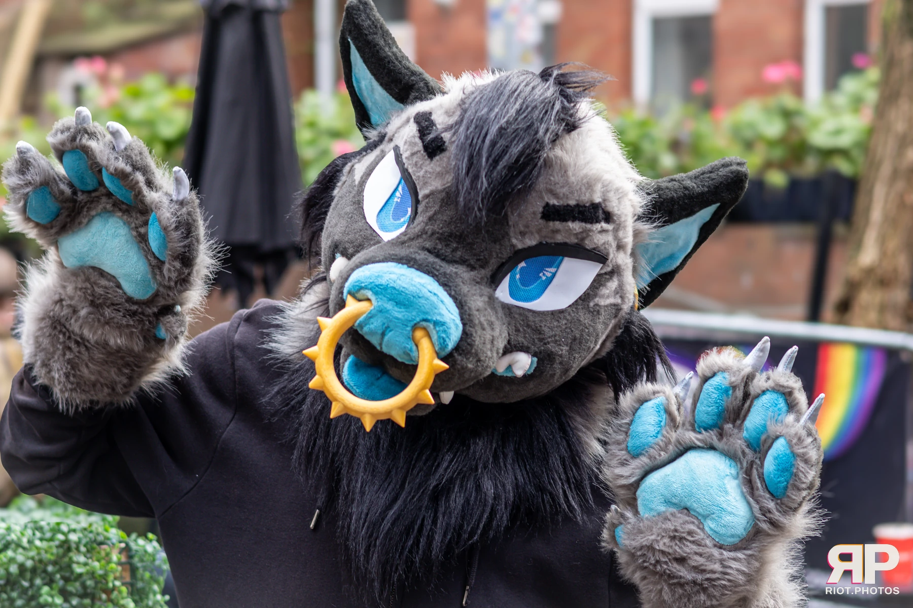MancFurs - December, 2024 — 14 Dec 2024, Fluffy Riot photography — photo 54