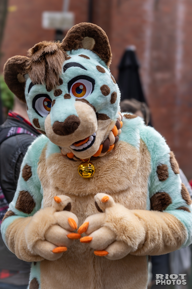 2024-12-15 MancFurs-202412-056.jpg