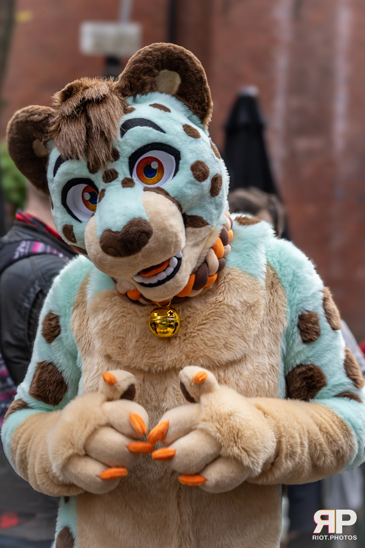 MancFurs - December, 2024 — 14 Dec 2024, Fluffy Riot photography — photo 55