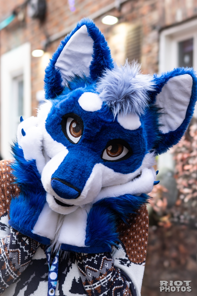 2024-12-15 MancFurs-202412-057.jpg