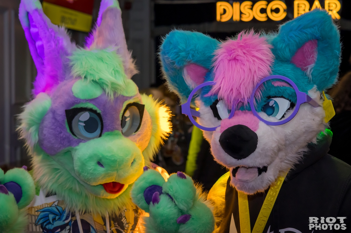 2025-01-12 MancFurs-202501-001.jpg