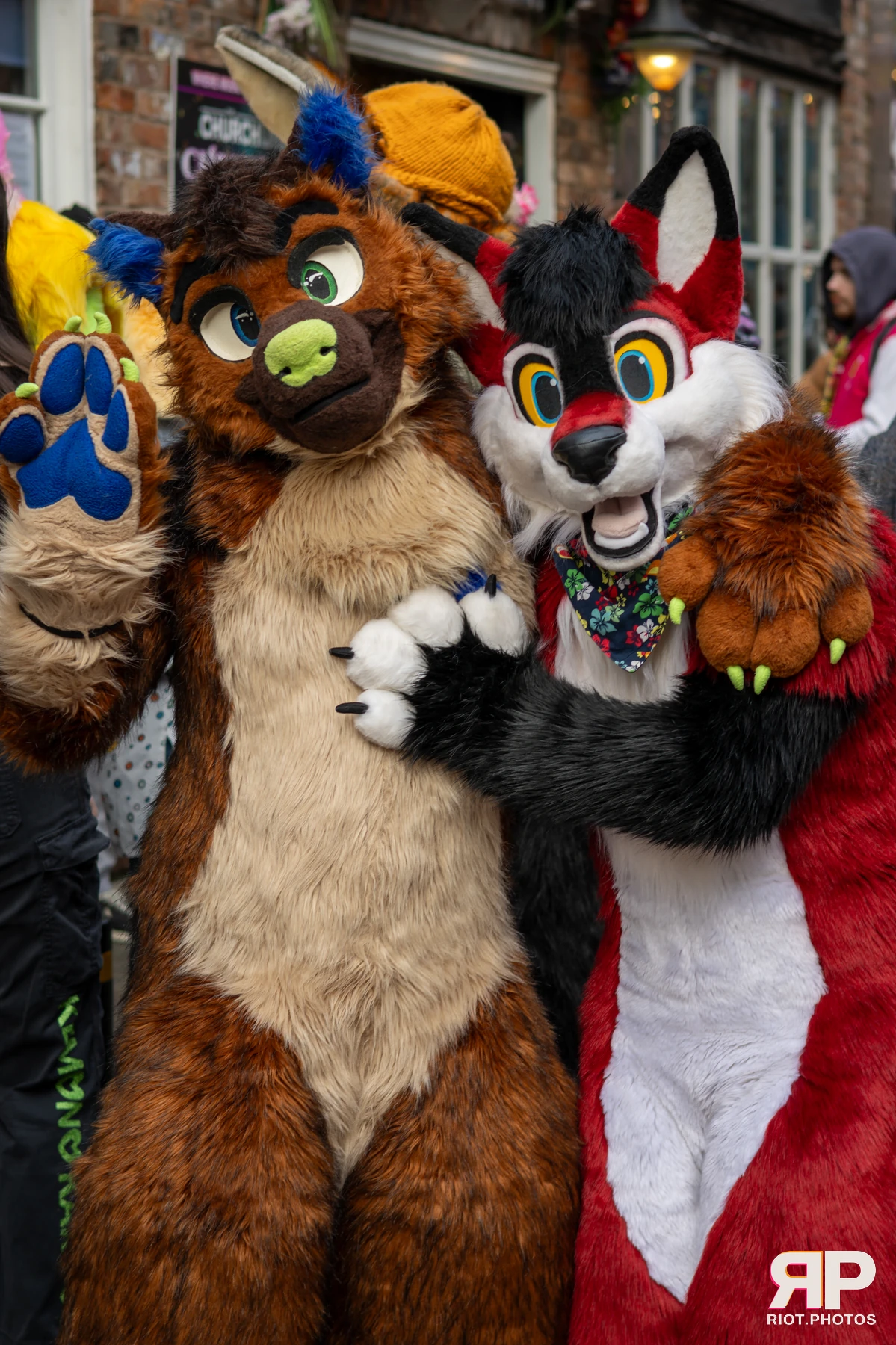 MancFurs - January, 2025 — 11 Jan 2025, Fluffy Riot photography — photo 4