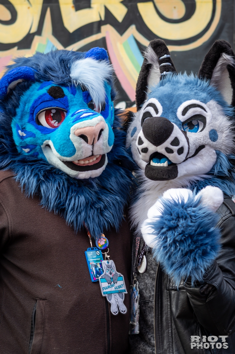 2025-01-12 MancFurs-202501-005.jpg