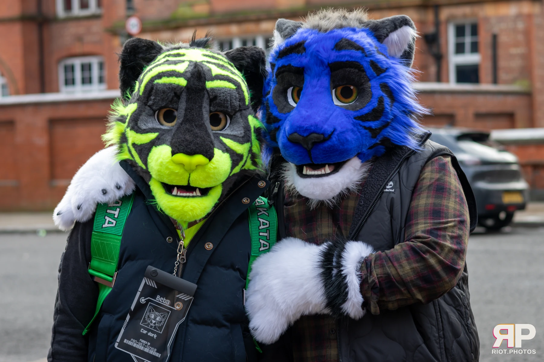 MancFurs - January, 2025 — 11 Jan 2025, Fluffy Riot photography — photo 6