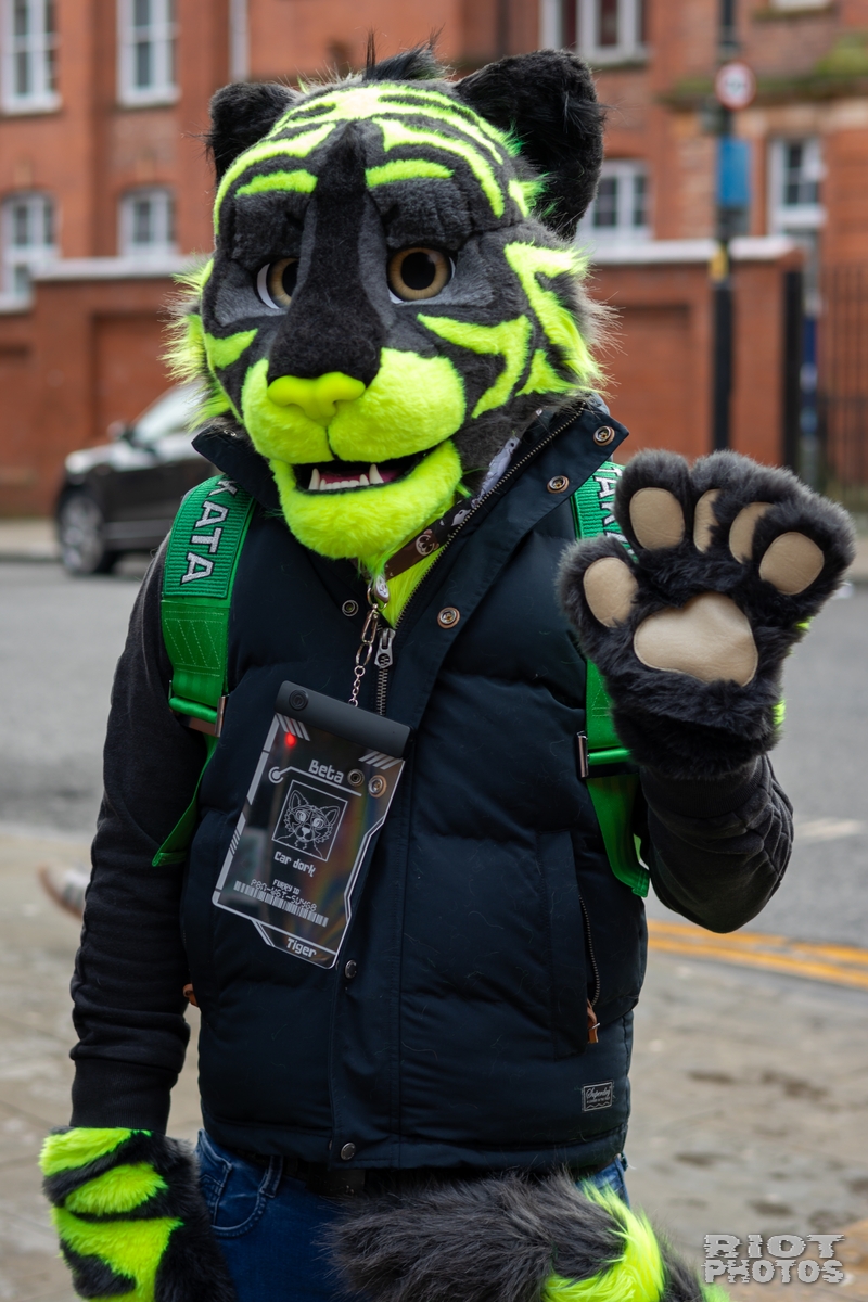2025-01-12 MancFurs-202501-007.jpg