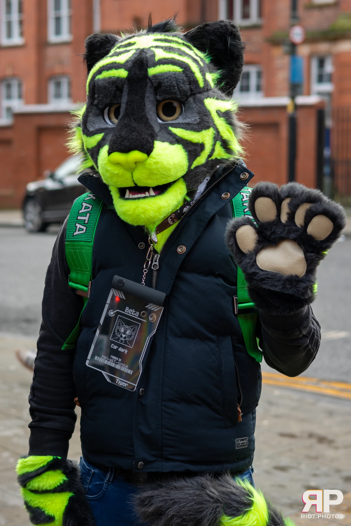 MancFurs - January, 2025 — 11 Jan 2025, Fluffy Riot photography — photo 7
