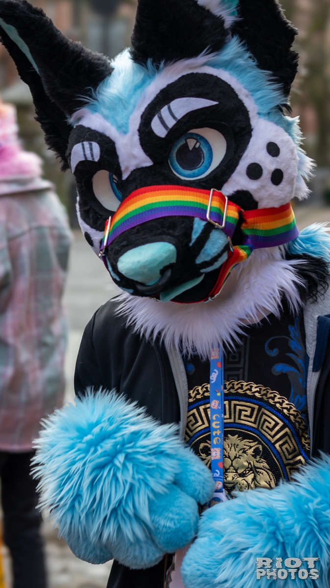 2025-01-12 MancFurs-202501-009.jpg