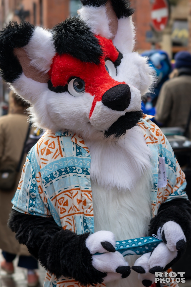 2025-01-12 MancFurs-202501-011.jpg