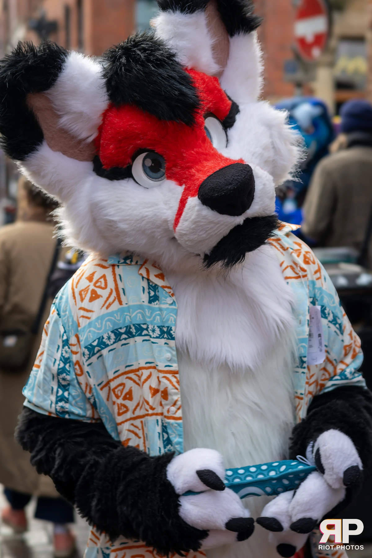 MancFurs - January, 2025 — 11 Jan 2025, Fluffy Riot photography — photo 11