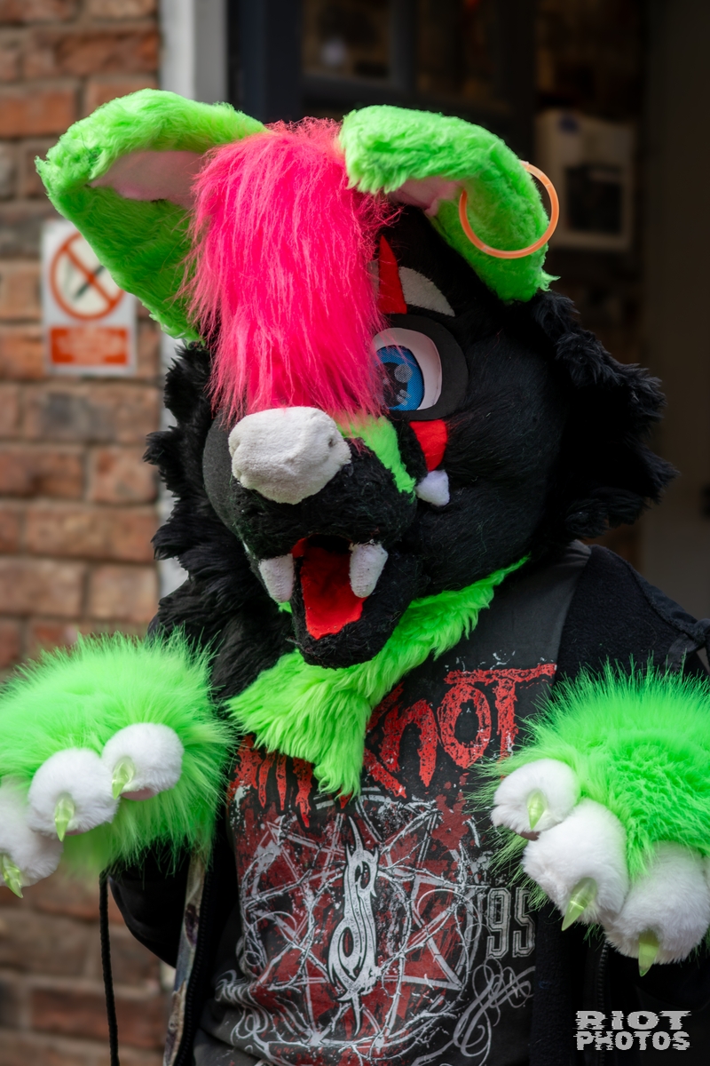 2025-01-12 MancFurs-202501-013.jpg