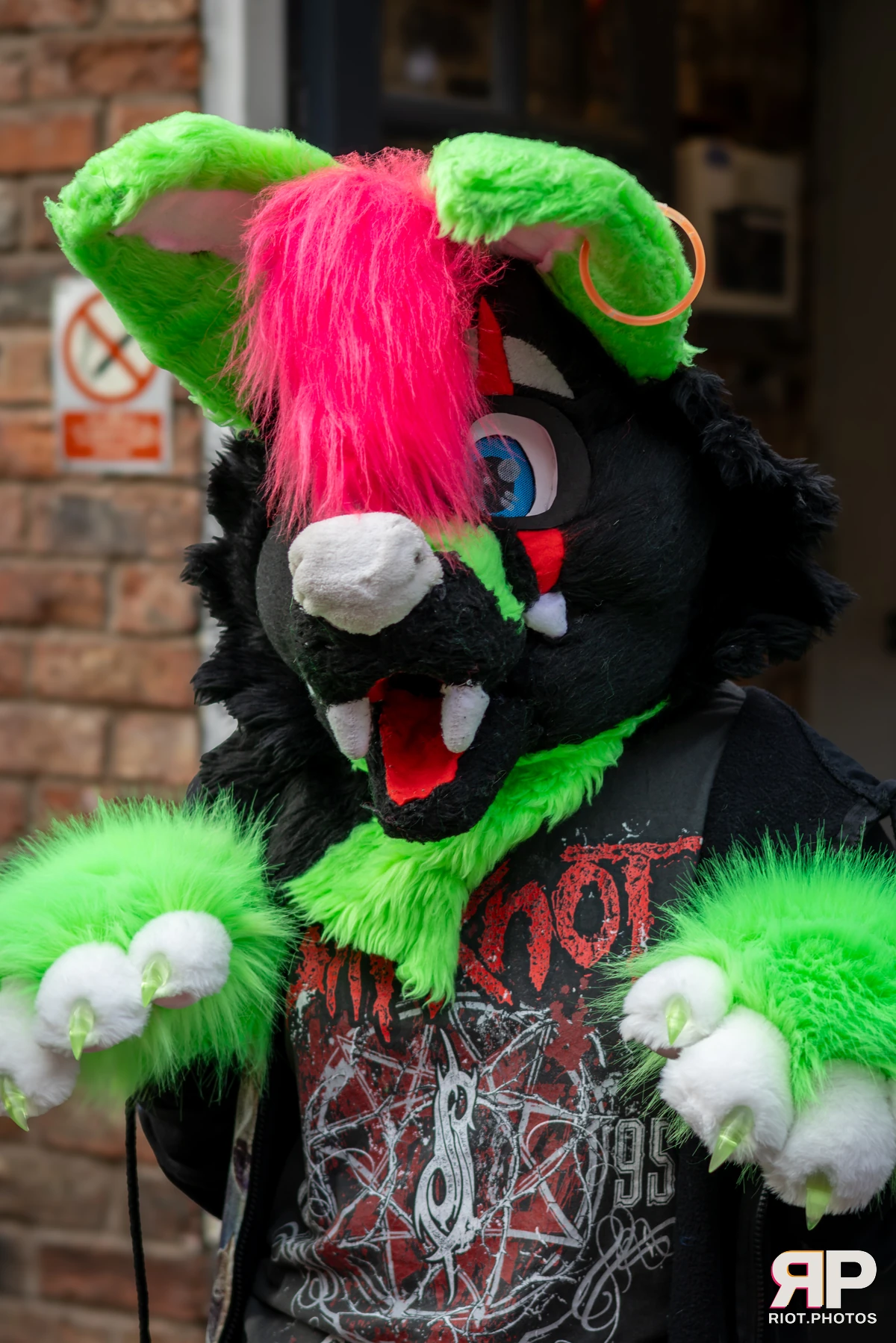 MancFurs - January, 2025 — 11 Jan 2025, Fluffy Riot photography — photo 13