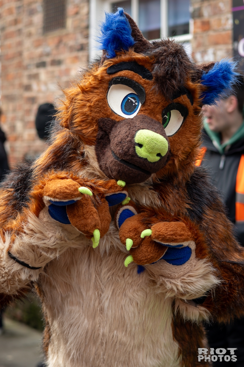 2025-01-12 MancFurs-202501-014.jpg
