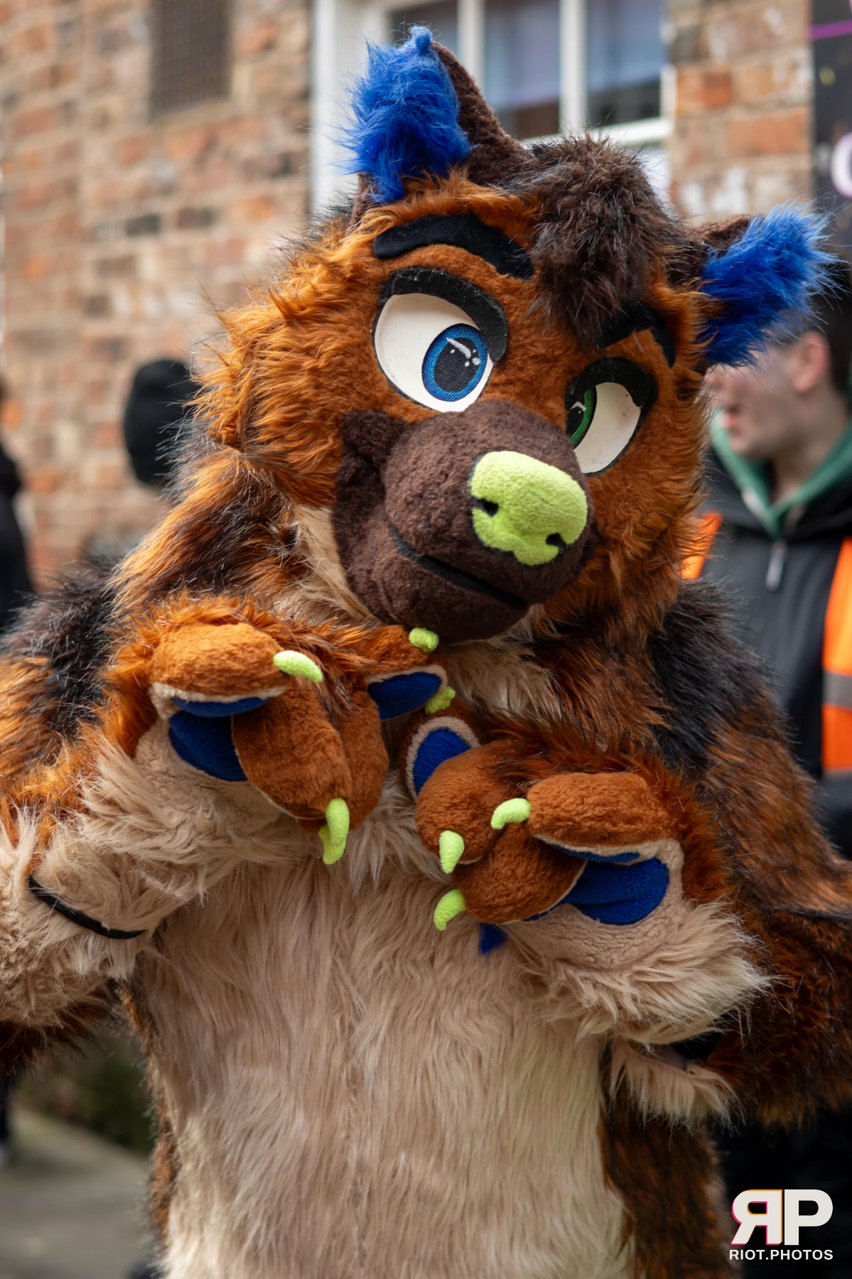 MancFurs - January, 2025 — 11 Jan 2025, Fluffy Riot photography — photo 14