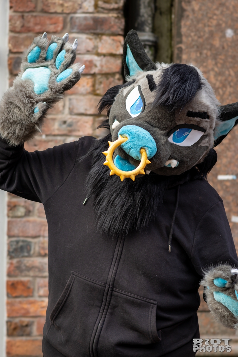 2025-01-12 MancFurs-202501-015.jpg