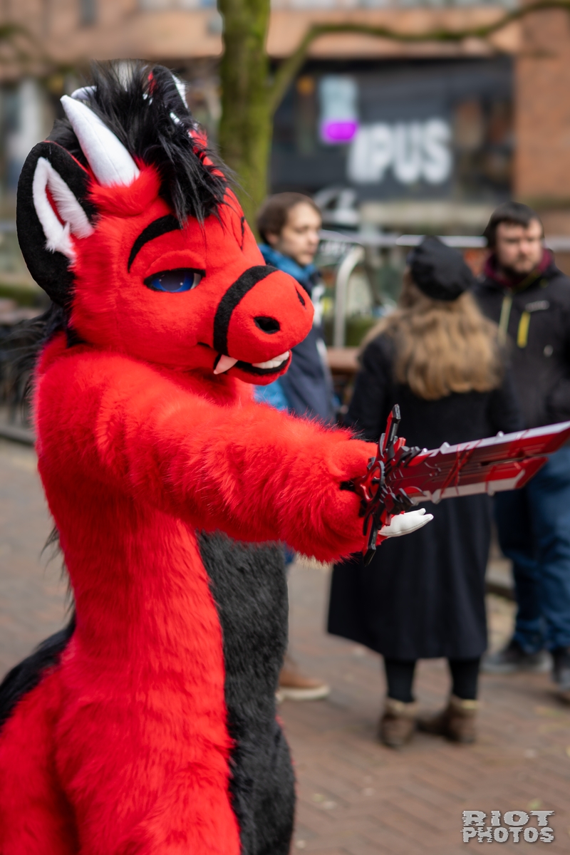 2025-01-12 MancFurs-202501-016.jpg