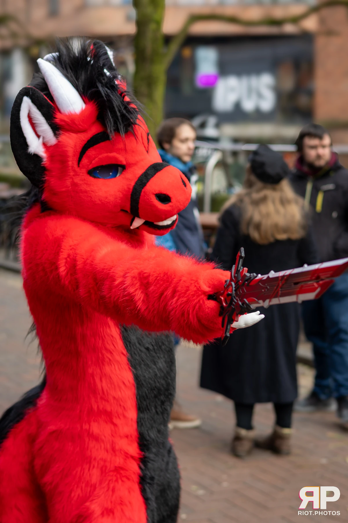 MancFurs - January, 2025 — 11 Jan 2025, Fluffy Riot photography — photo 16
