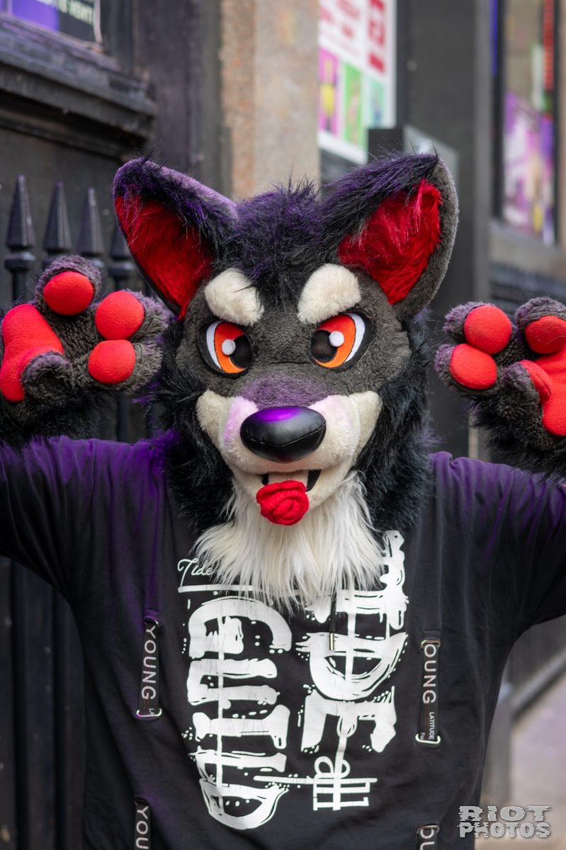 2025-01-12 MancFurs-202501-017.jpg