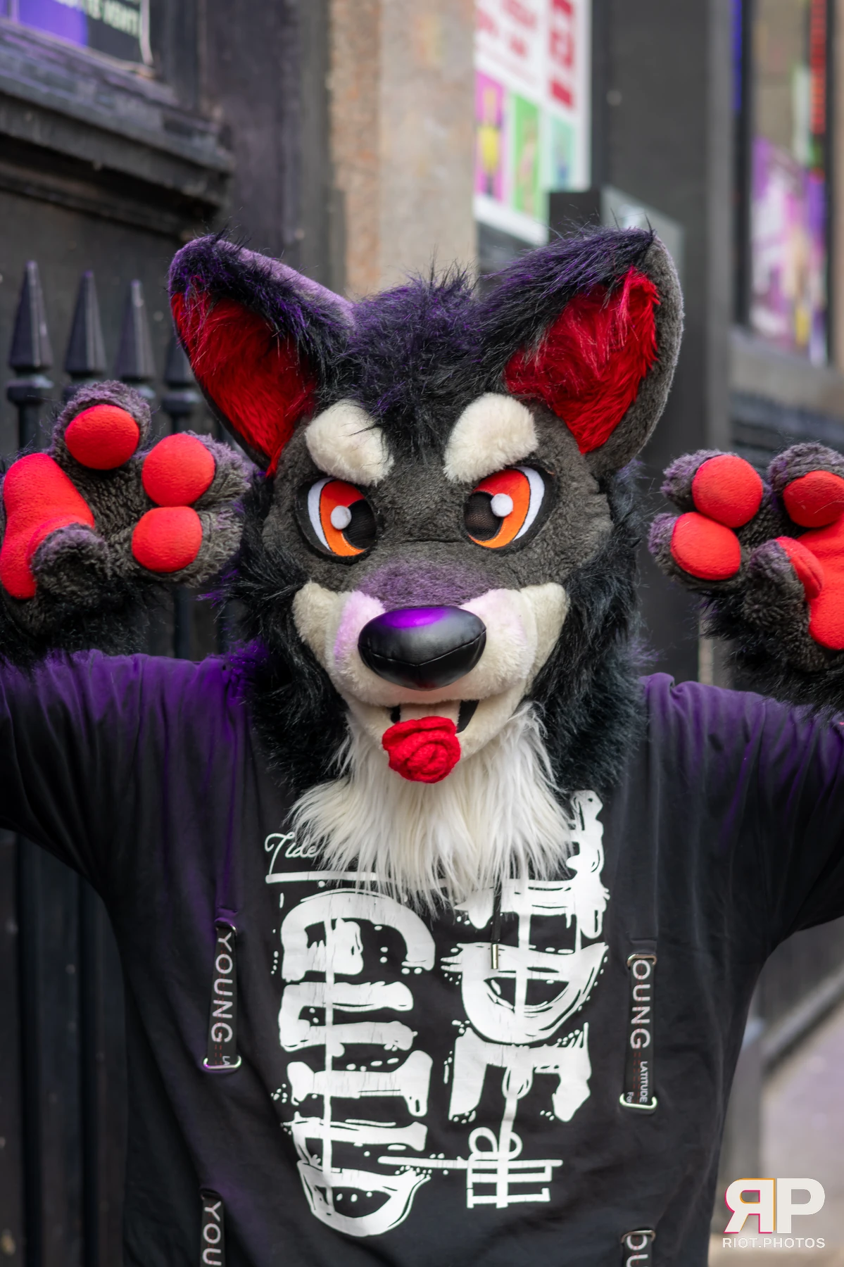 MancFurs - January, 2025 — 11 Jan 2025, Fluffy Riot photography — photo 17