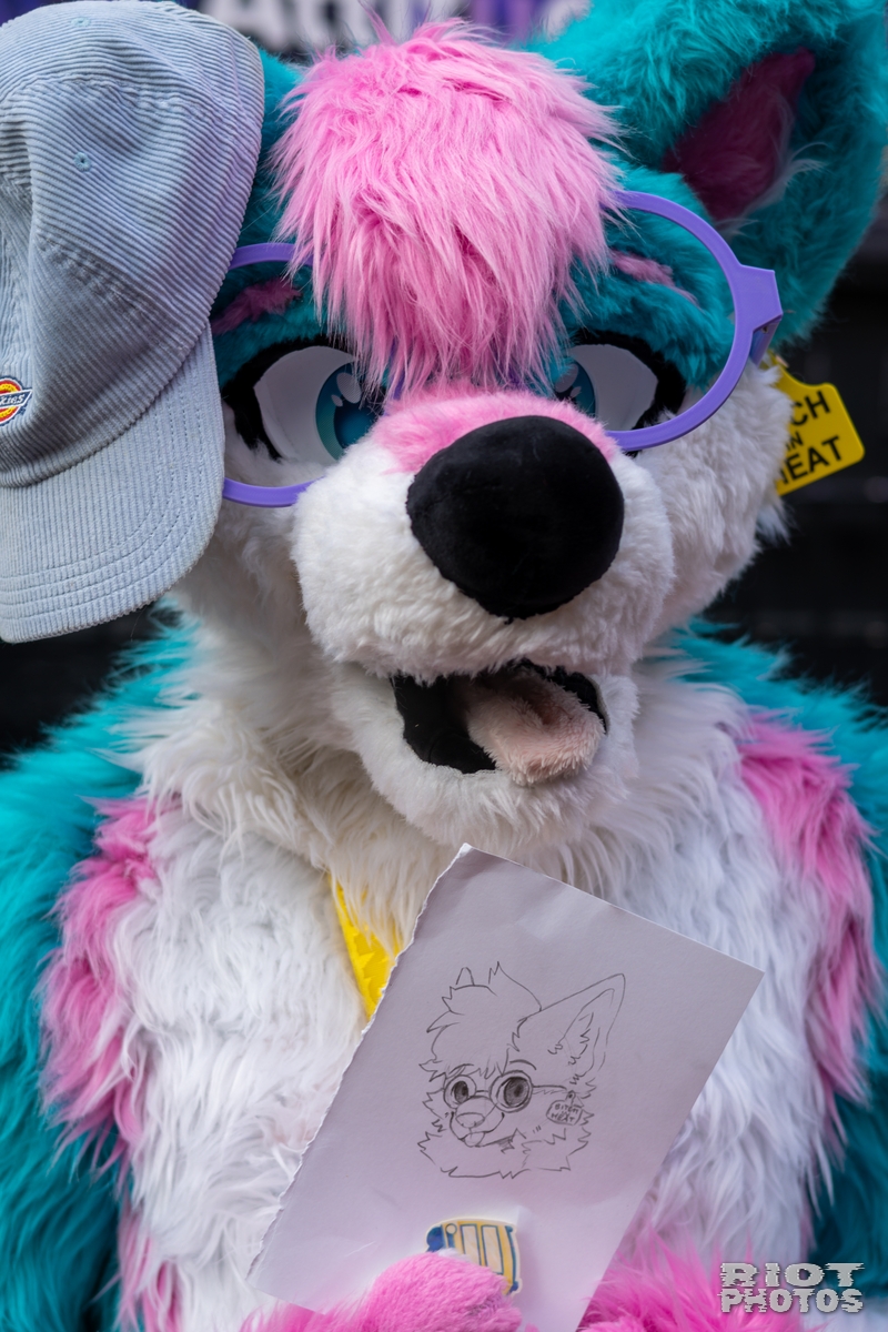 2025-01-12 MancFurs-202501-019.jpg