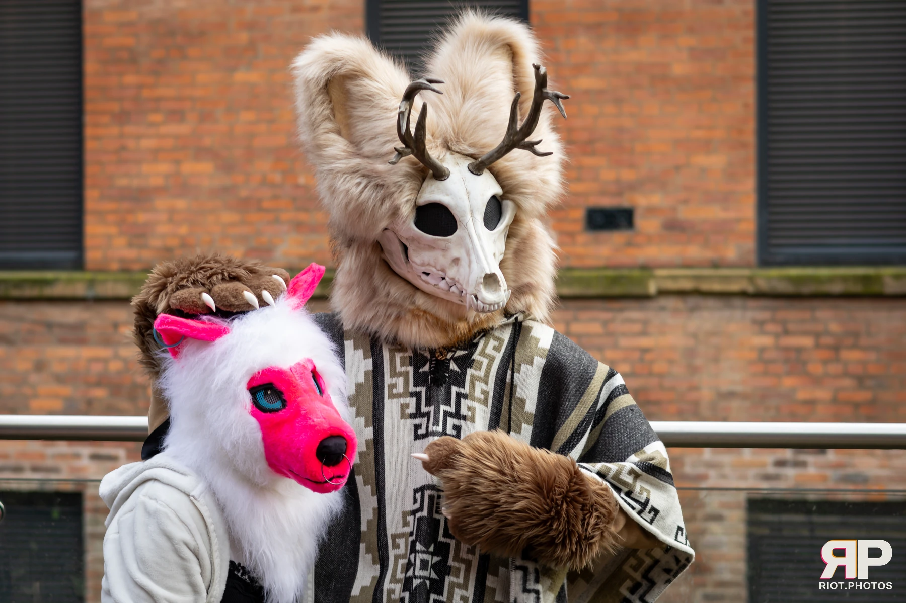 MancFurs - January, 2025 — 11 Jan 2025, Fluffy Riot photography — photo 20