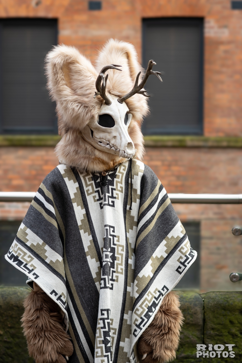2025-01-12 MancFurs-202501-021.jpg