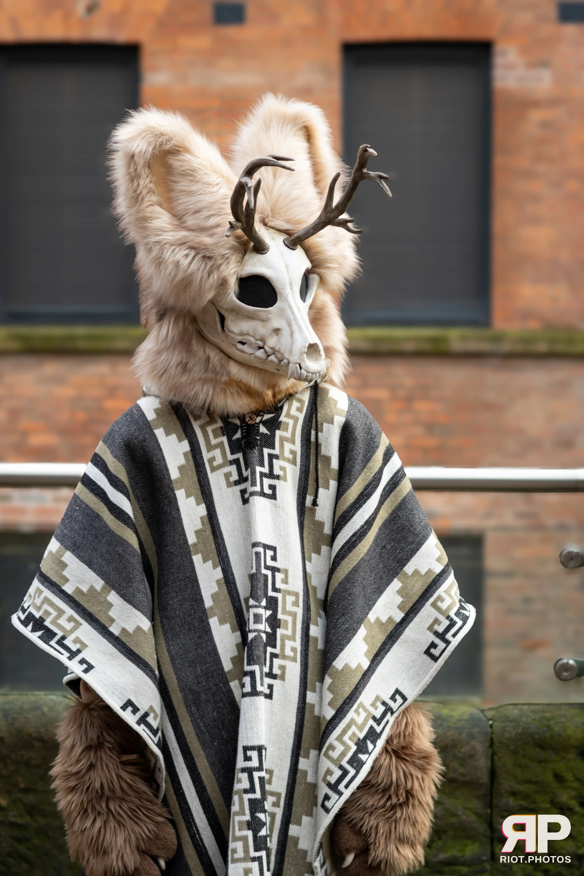 MancFurs - January, 2025 — 11 Jan 2025, Fluffy Riot photography — photo 21