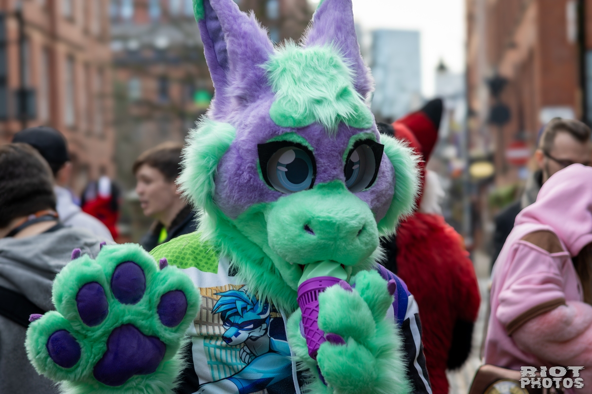 2025-01-12 MancFurs-202501-022.jpg