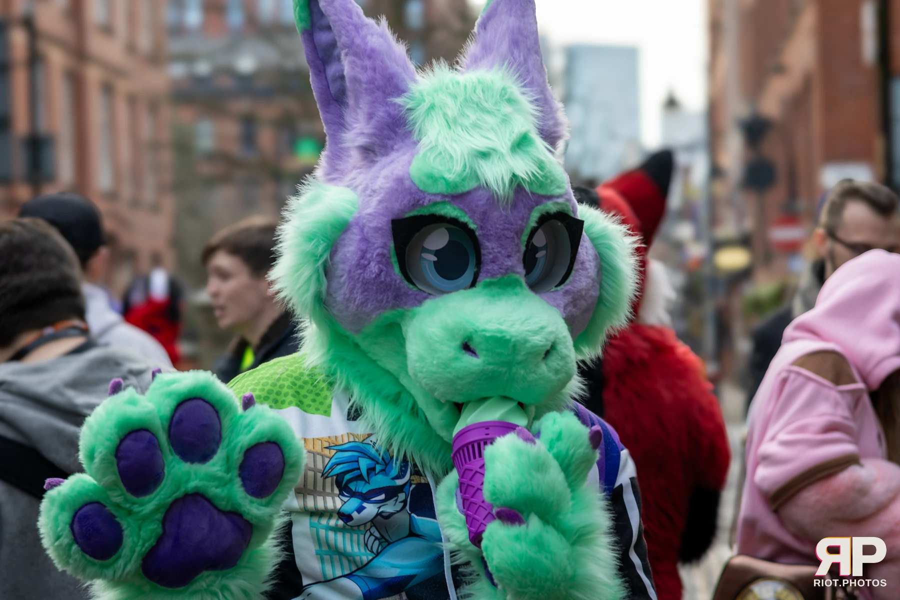 MancFurs - January, 2025 — 11 Jan 2025, Fluffy Riot photography — photo 22