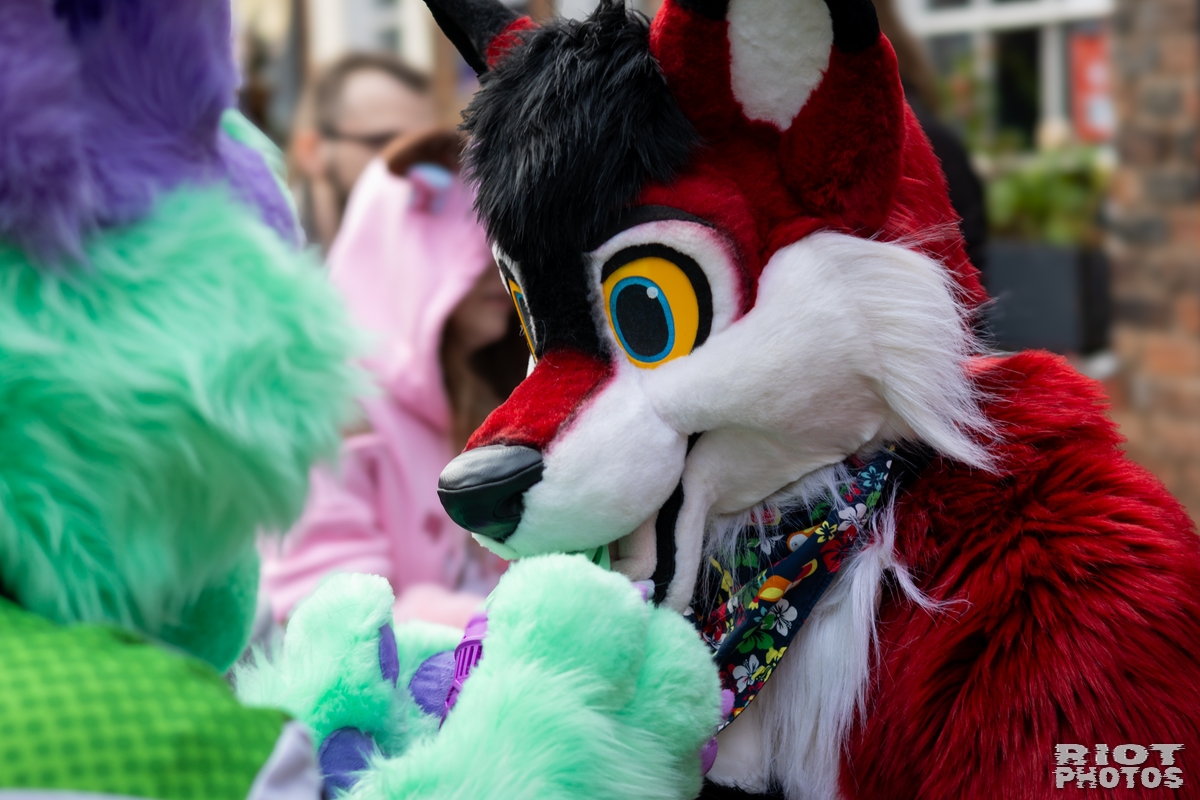2025-01-12 MancFurs-202501-023.jpg