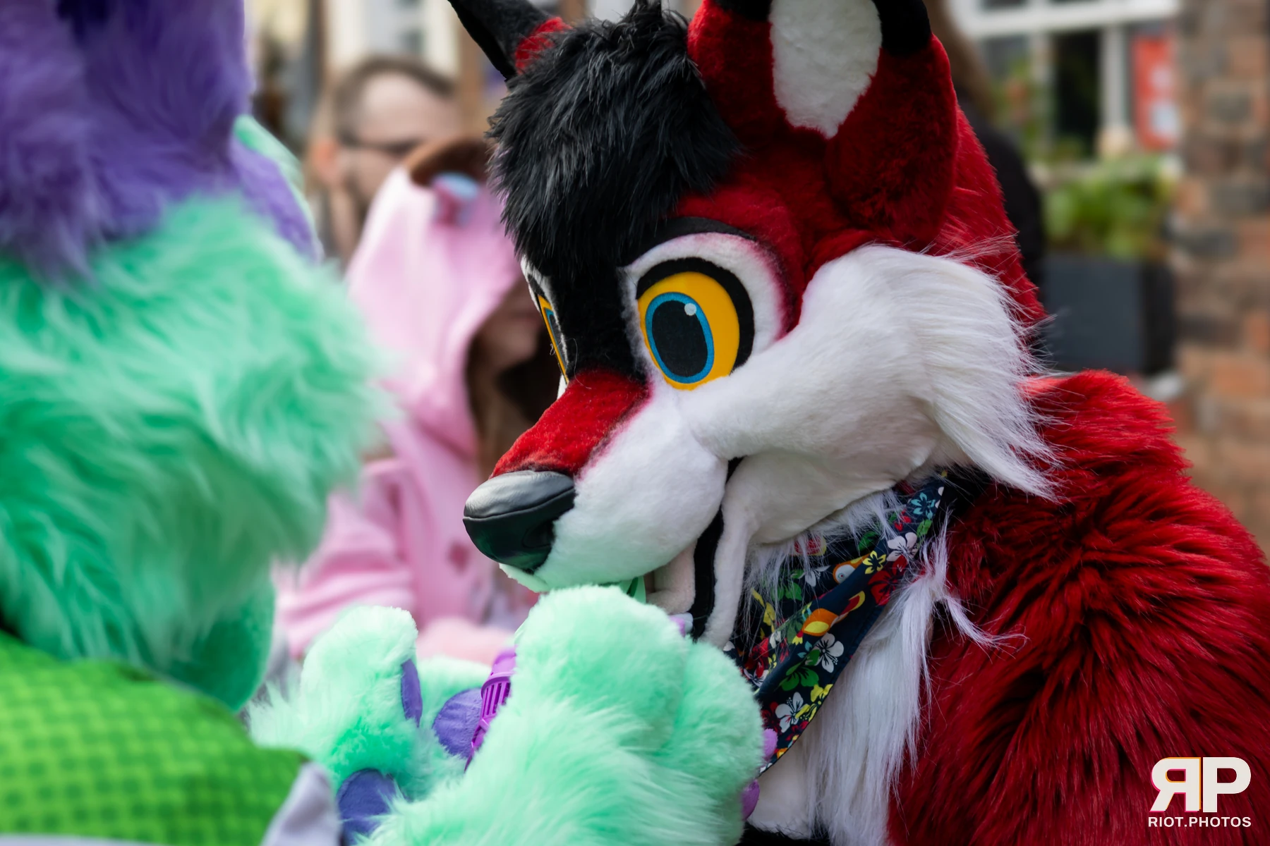 MancFurs - January, 2025 — 11 Jan 2025, Fluffy Riot photography — photo 23