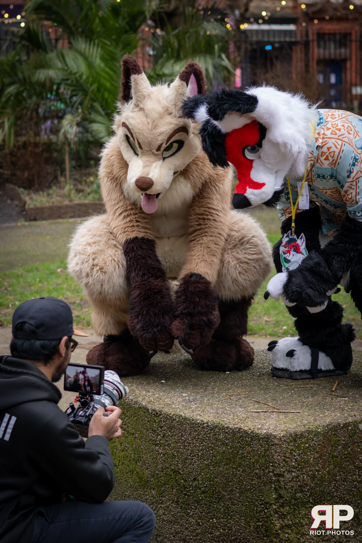 MancFurs - February, 2025 — 08 Feb 2025, Fluffy Riot photography — photo 1