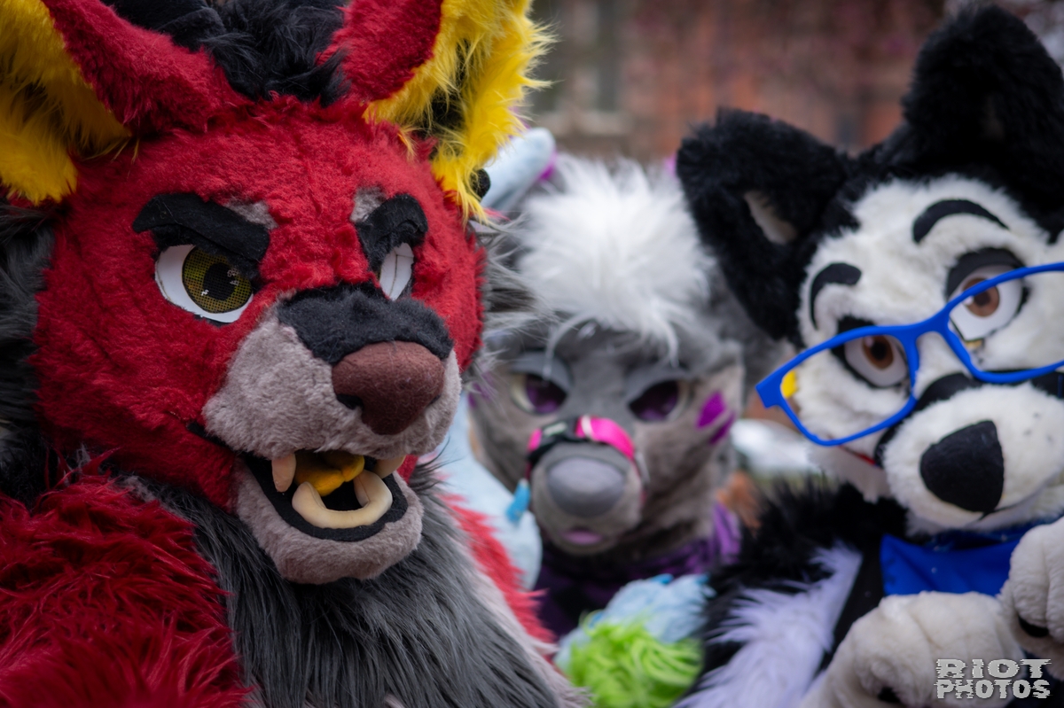 2025-02-08 MancFurs-202502-003.jpg