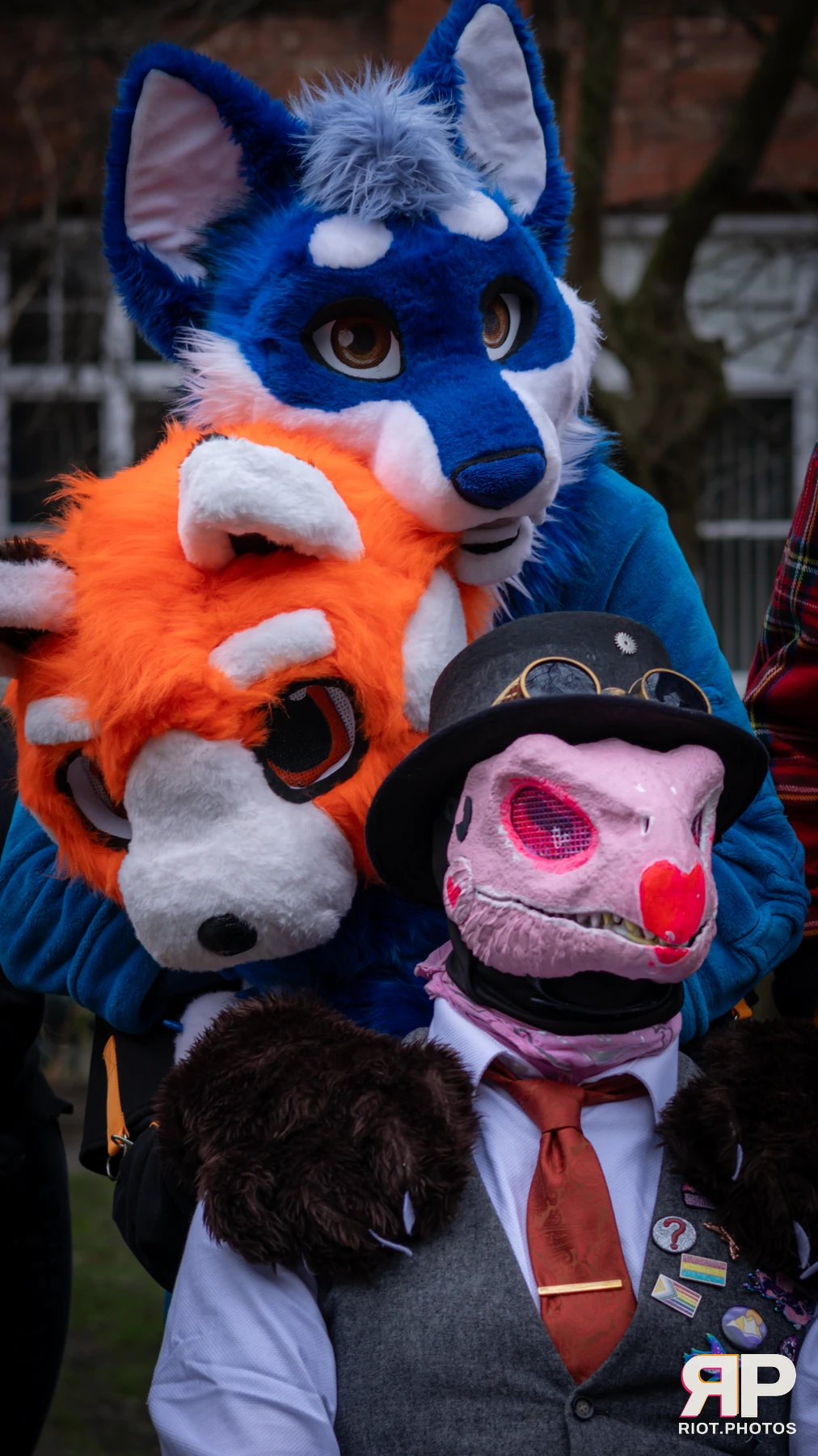 MancFurs - February, 2025 — 08 Feb 2025, Fluffy Riot photography — photo 4