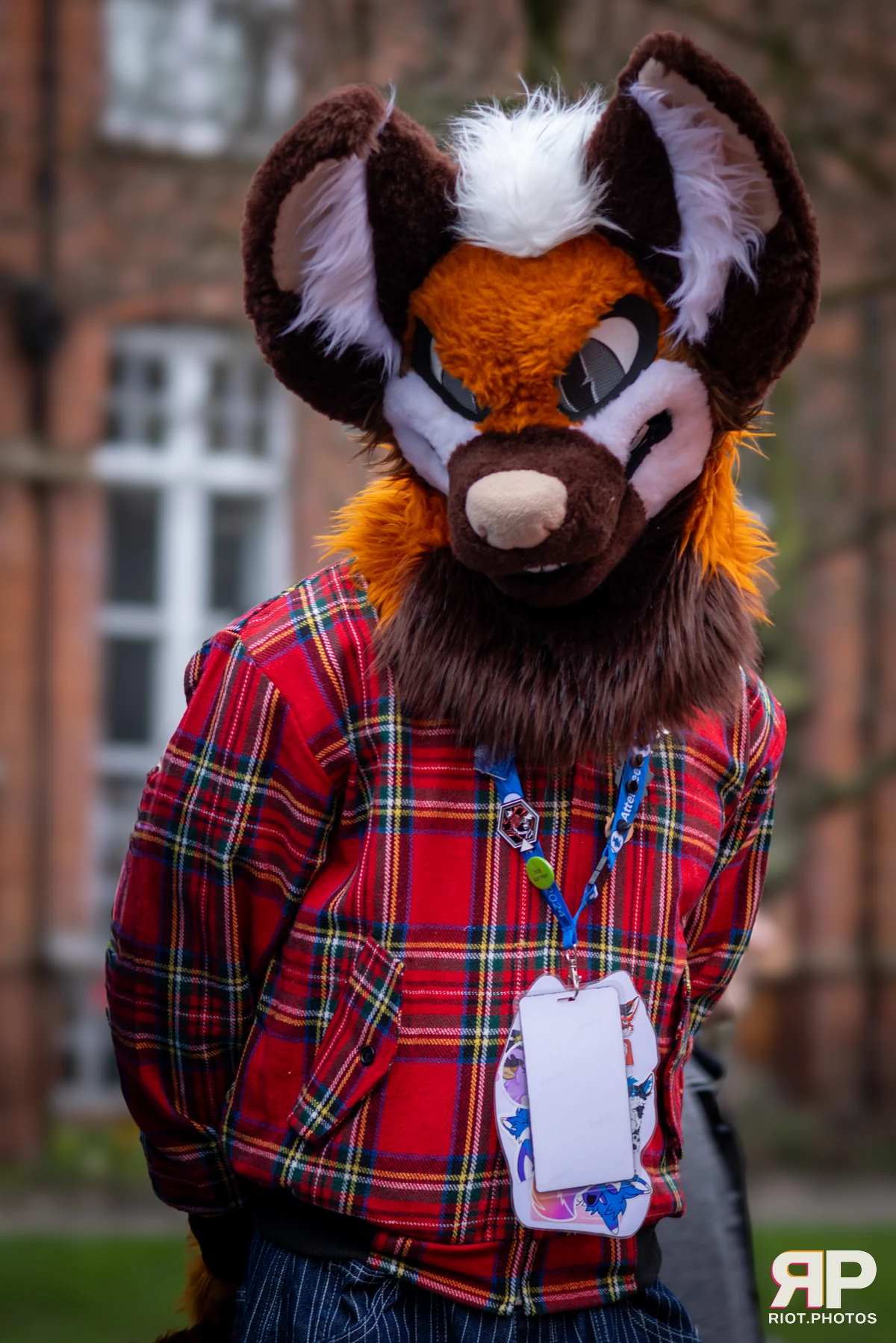 MancFurs - February, 2025 — 08 Feb 2025, Fluffy Riot photography — photo 5