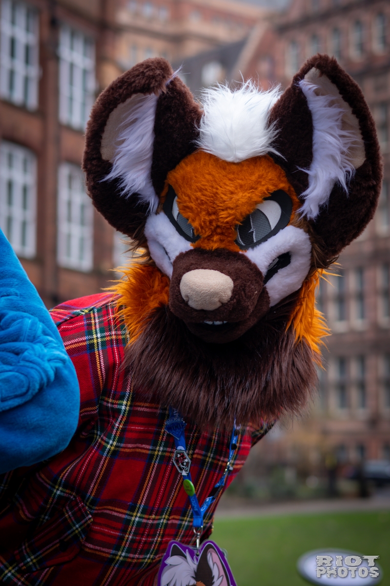2025-02-08 MancFurs-202502-006.jpg