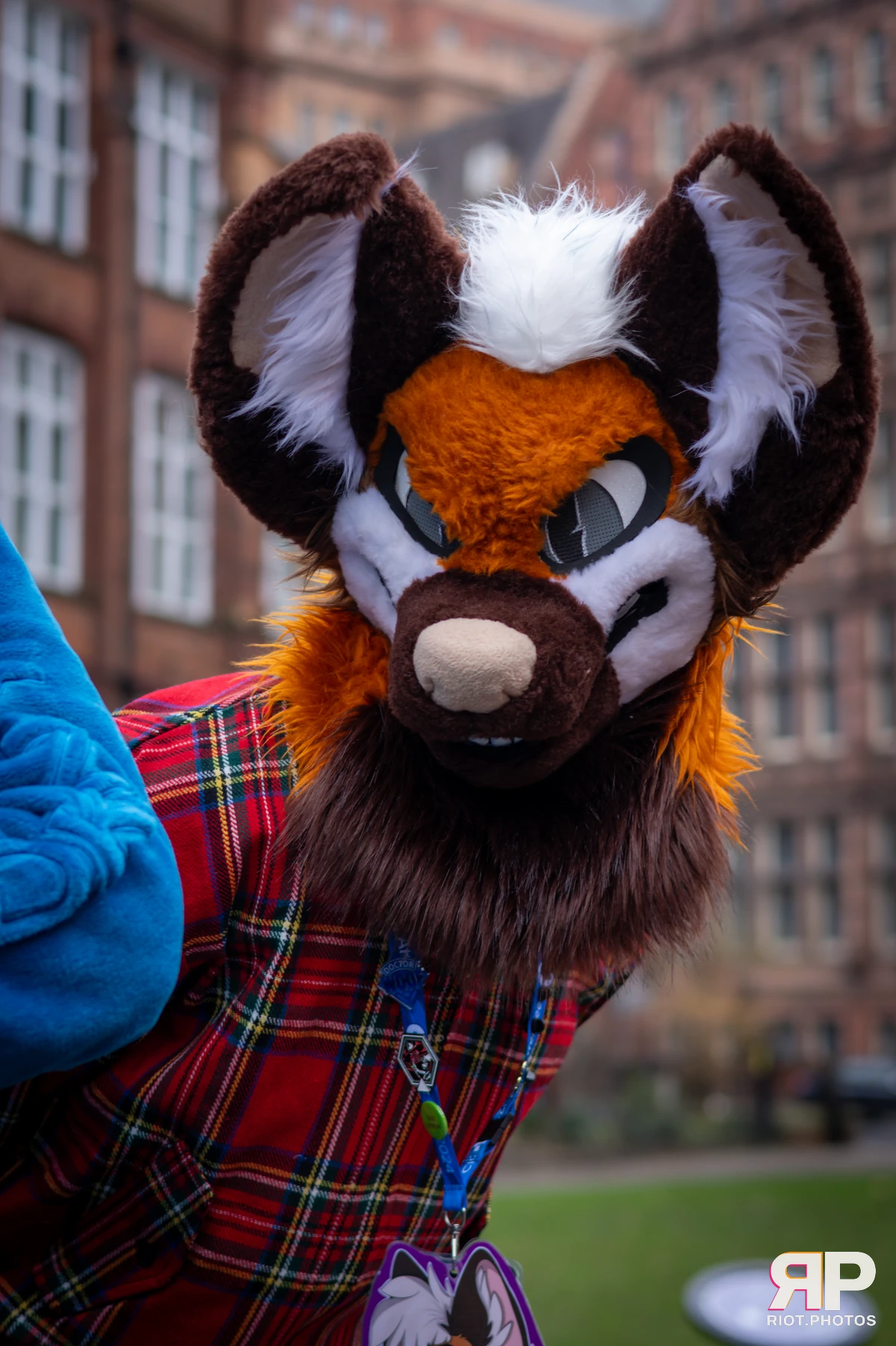 MancFurs - February, 2025 — 08 Feb 2025, Fluffy Riot photography — photo 6