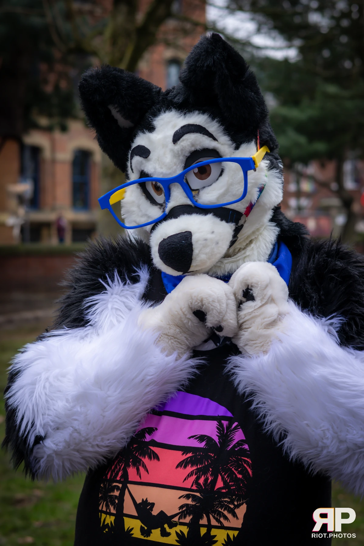 MancFurs - February, 2025 — 08 Feb 2025, Fluffy Riot photography — photo 7