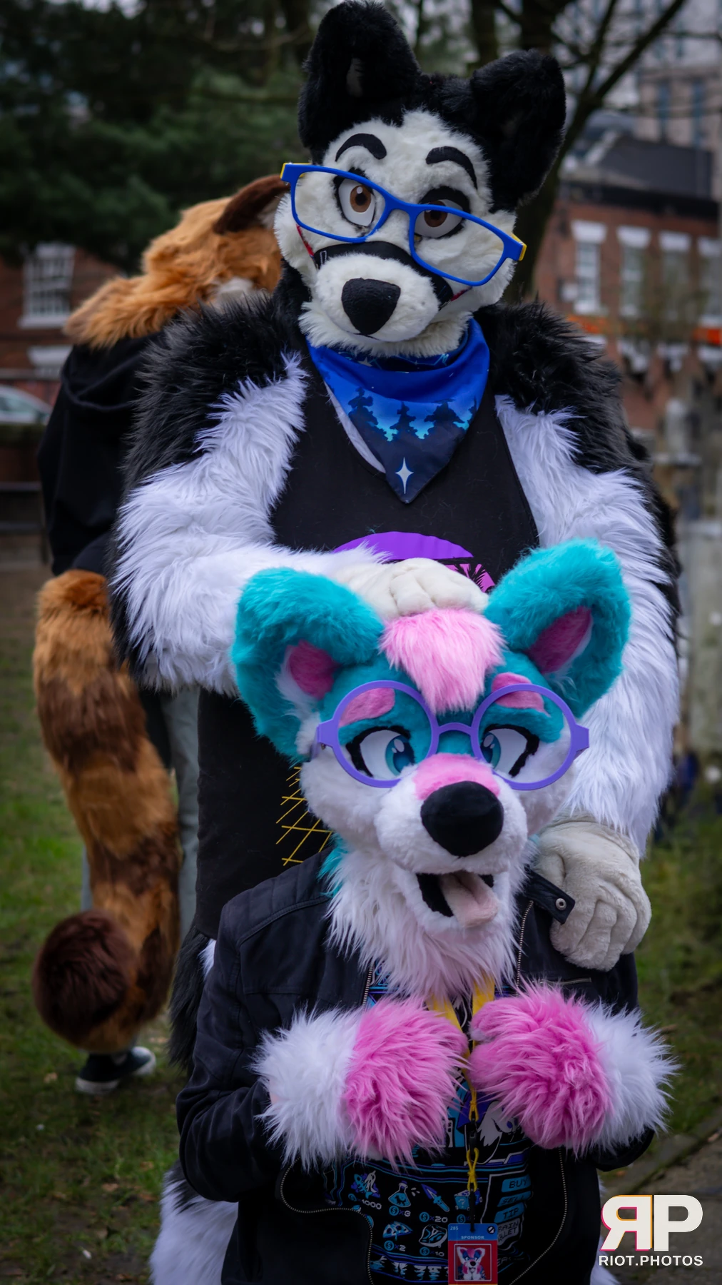 Pup Kaz — furry & pup photography by Fluffy Riot — photo 518