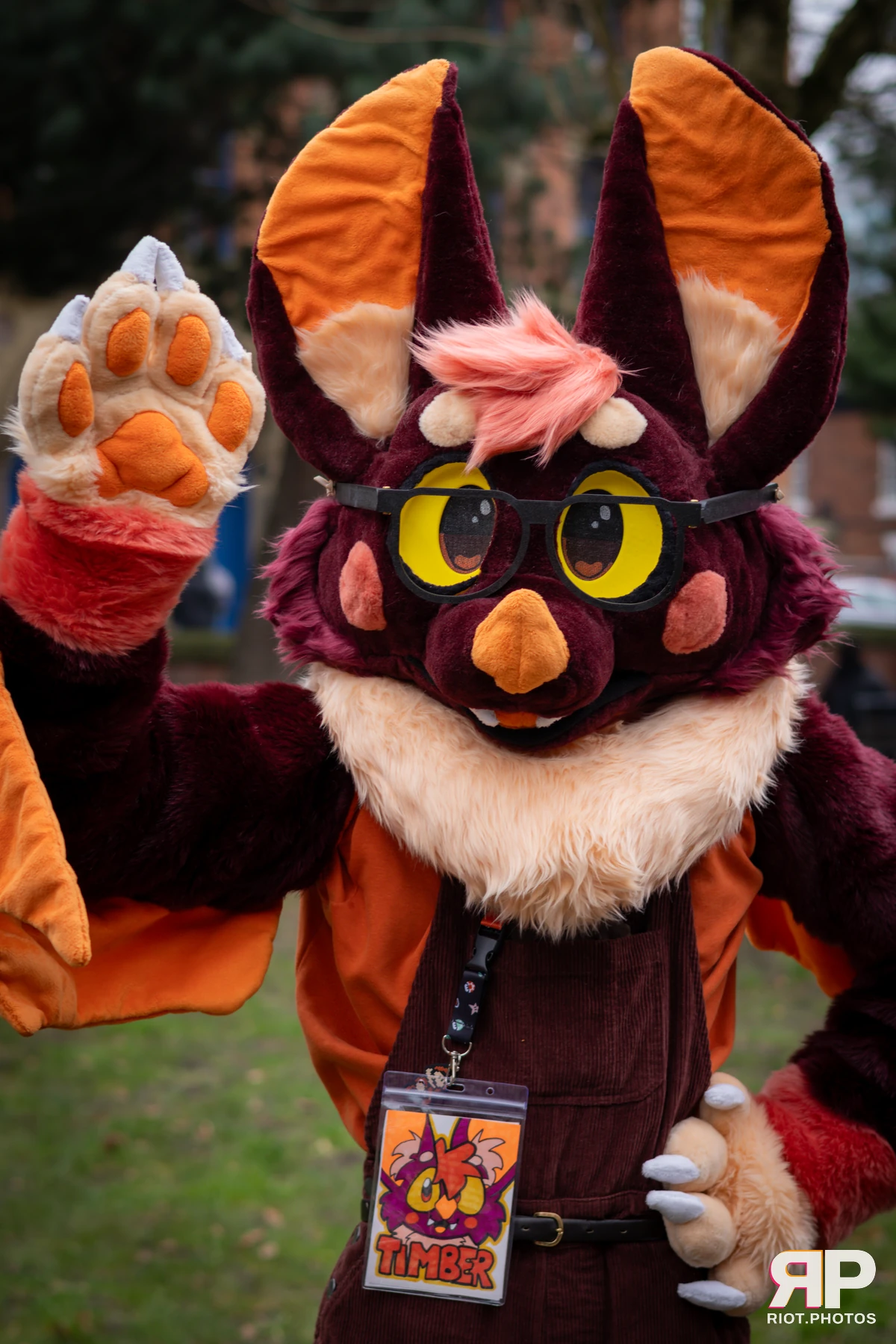 MancFurs - February, 2025 — 08 Feb 2025, Fluffy Riot photography — photo 9