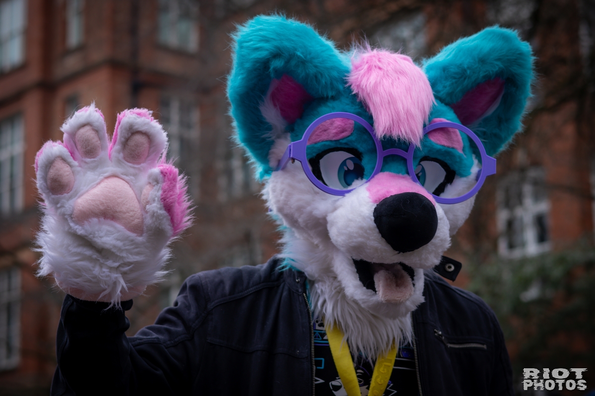 2025-02-08 MancFurs-202502-010.jpg