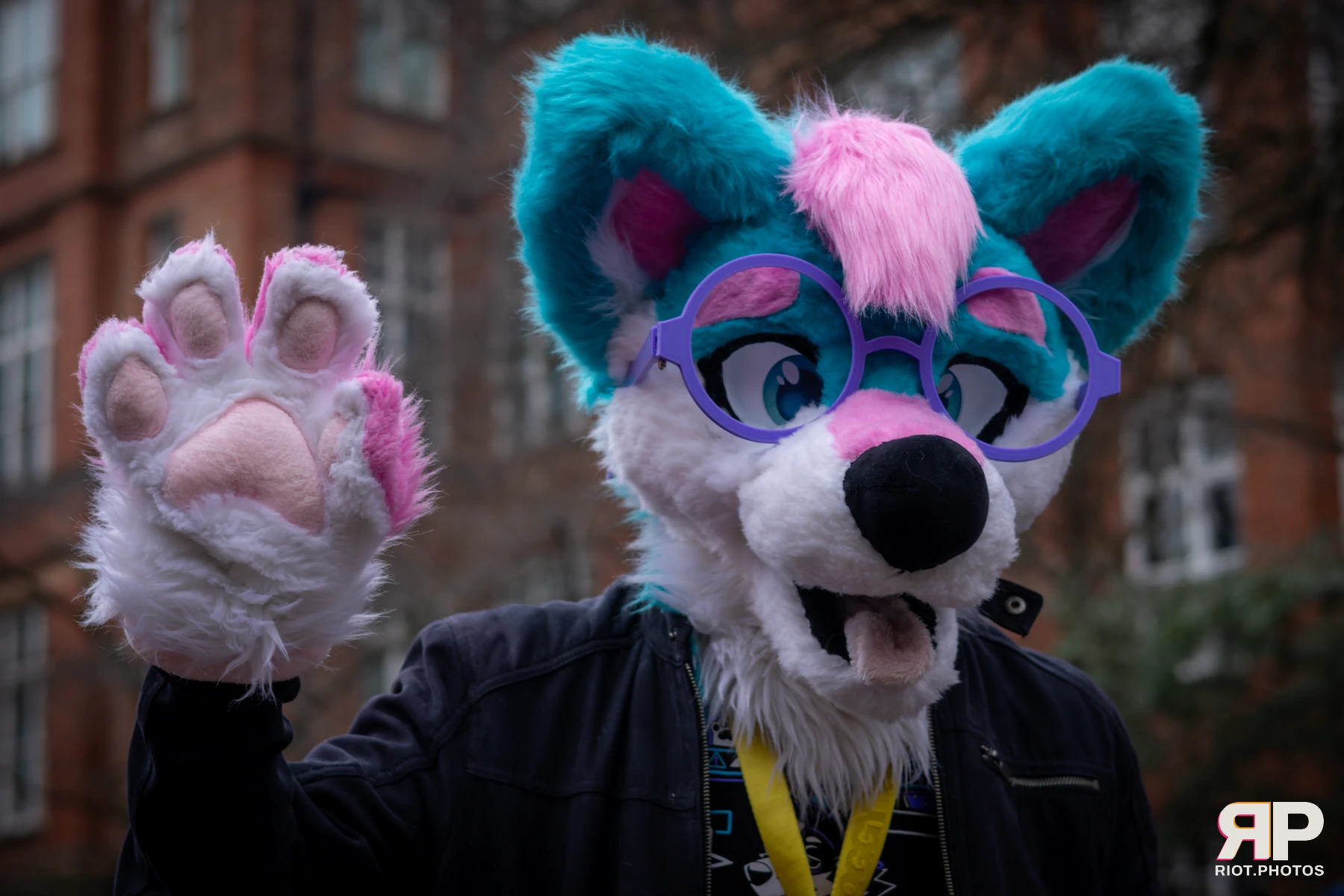 Pup Kaz — furry & pup photography by Fluffy Riot — photo 519