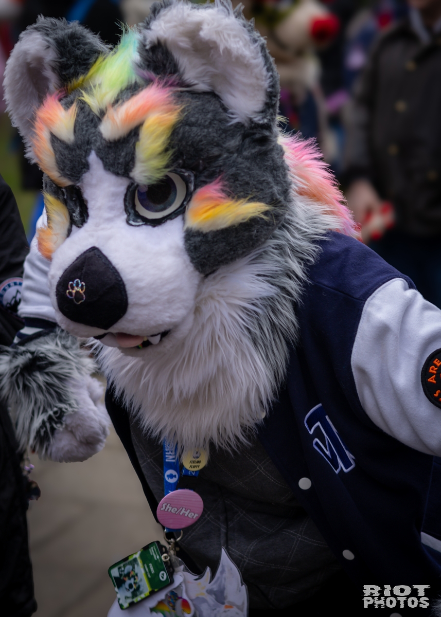 2025-02-08 MancFurs-202502-012.jpg