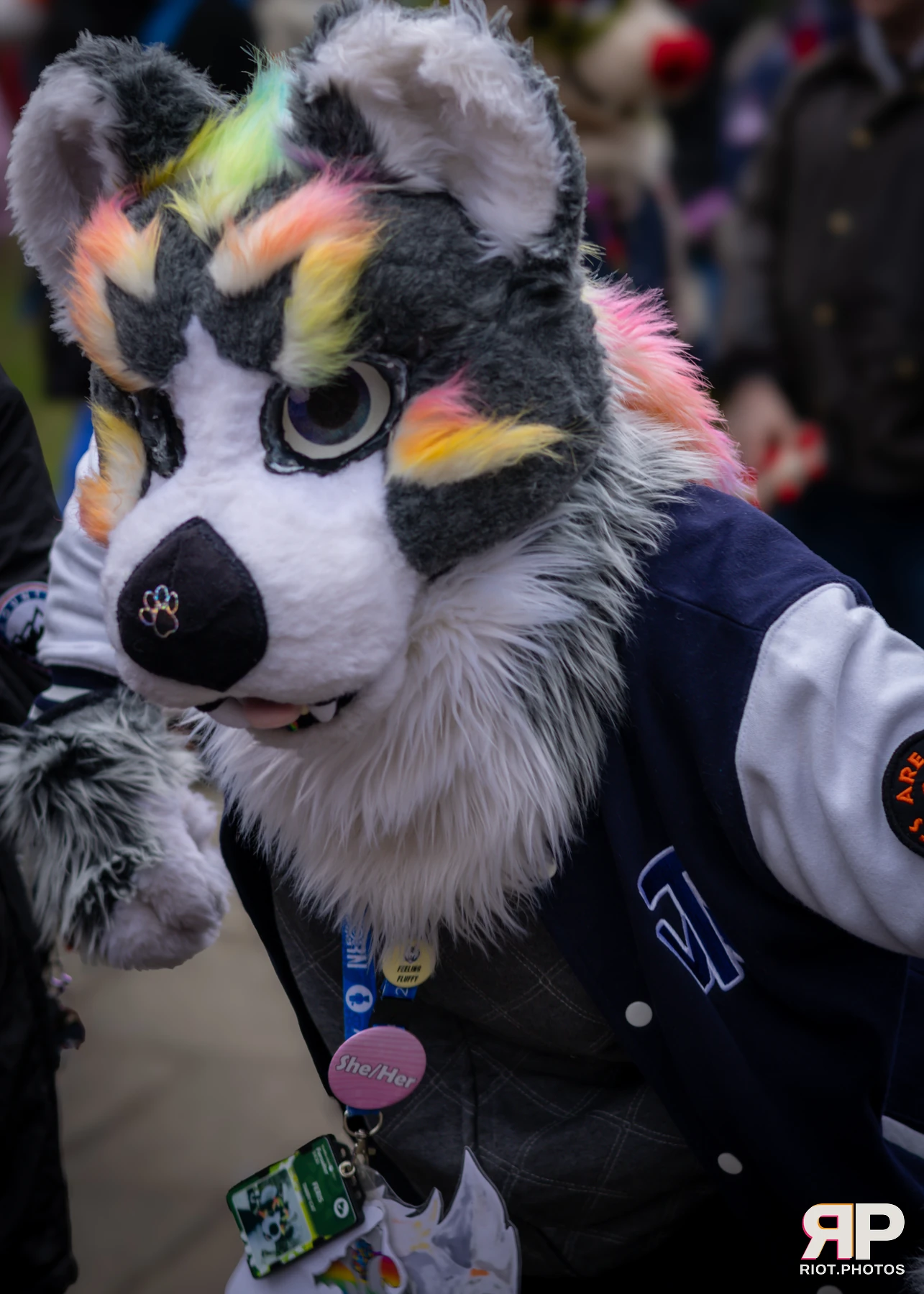 MancFurs - February, 2025 — 08 Feb 2025, Fluffy Riot photography — photo 12