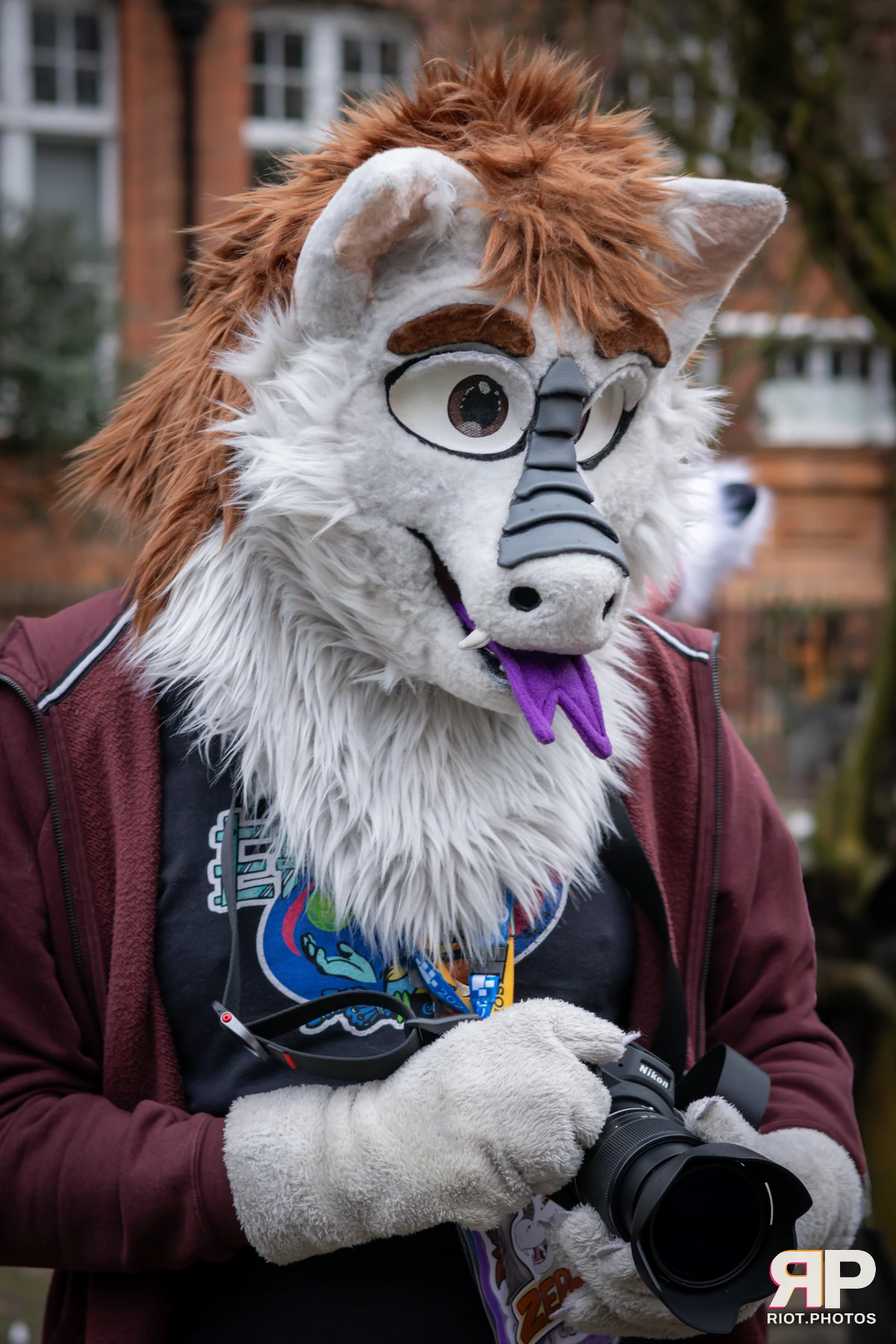 MancFurs - February, 2025 — 08 Feb 2025, Fluffy Riot photography — photo 13