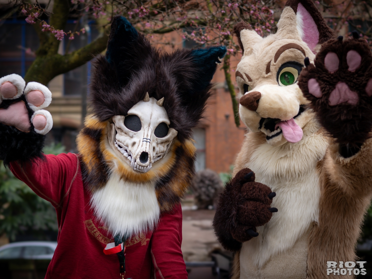 2025-02-08 MancFurs-202502-014.jpg