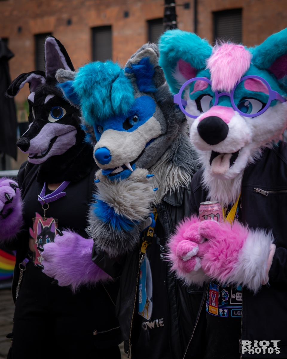 2025-02-08 MancFurs-202502-017.jpg